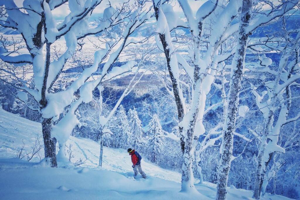 Cube Sugar-方糖民宿,步行8min到雪场,3 Brs,max 6ppl Villa *